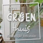 Gratis cactus bij Intratuin